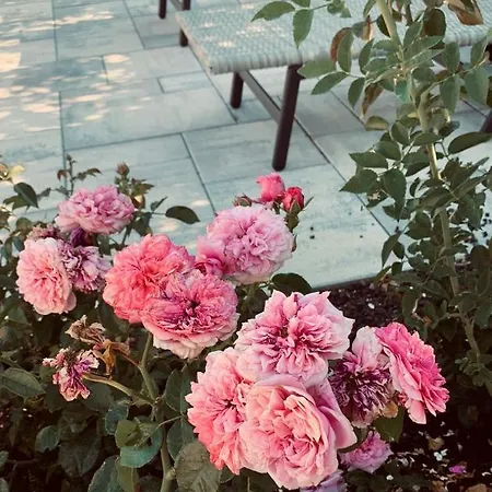 Tatil Evi Chez La Rose Luxueuse Avec Jacuzzi